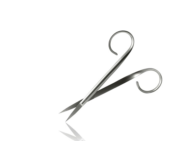 Scissors Sharp Pointed